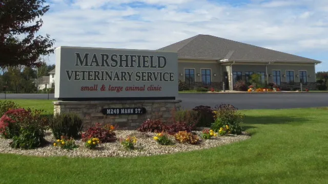 Marshfield Veterinary Service 5