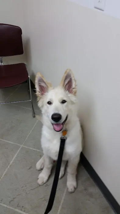 Stratford Veterinary Clinic 2