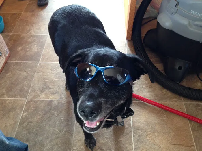 Blue Skies Large & Small Animal Clinic LLC 12