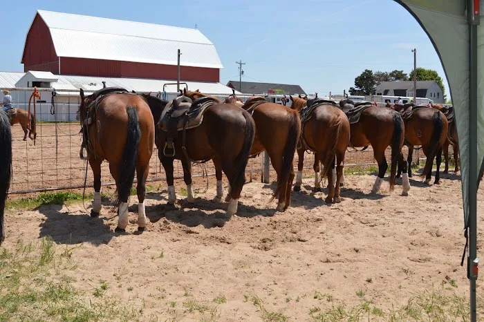 Blue Skies Large & Small Animal Clinic LLC 12