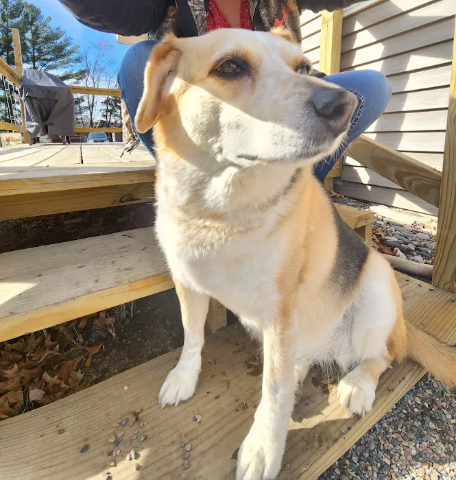 Blue Skies Large & Small Animal Clinic LLC 12