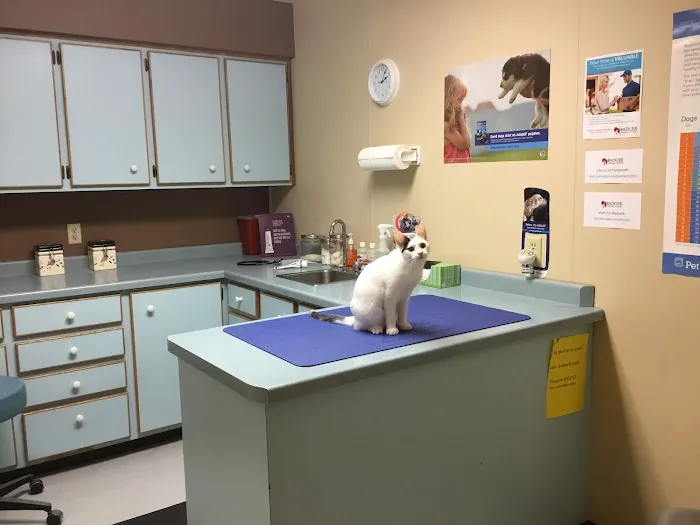 Badger Animal Clinic 5