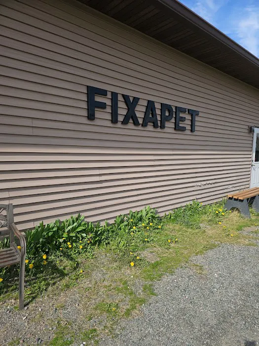 FixAPet 2