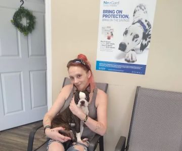 Ohio Valley Animal Clinic of Athens