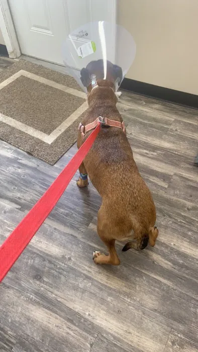 Ohio Valley Animal Clinic of Athens 5