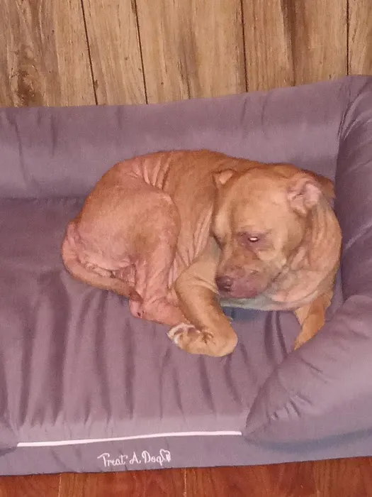 Ohio Valley Animal Clinic of Athens 7