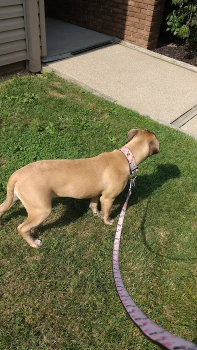 Lilac Hill Veterinary Hospital 12
