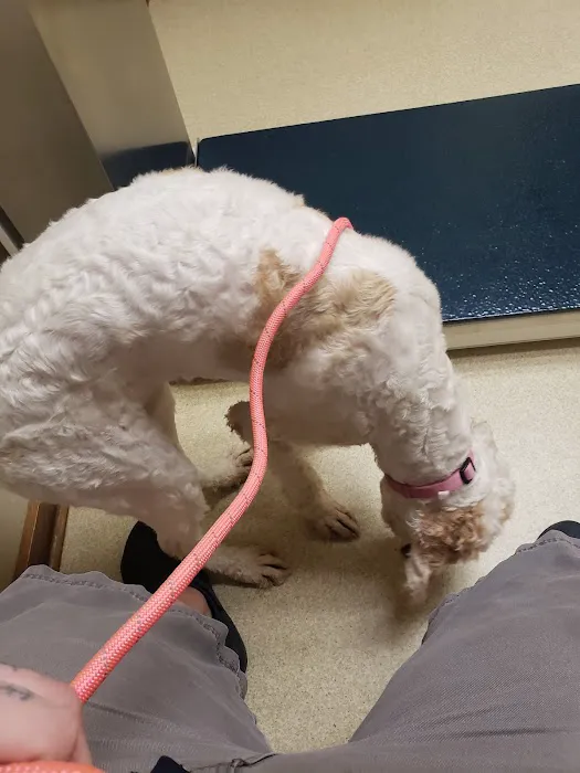 Lilac Hill Veterinary Hospital 12