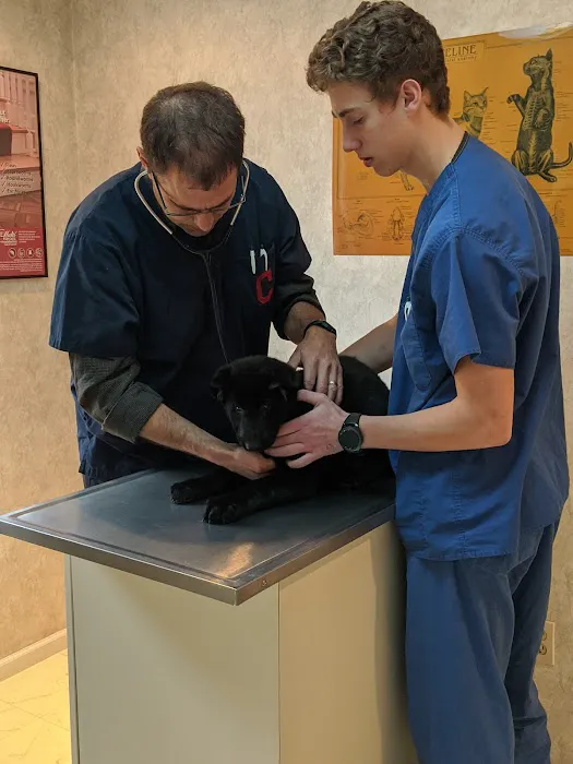 Worner Veterinary Hospital 12