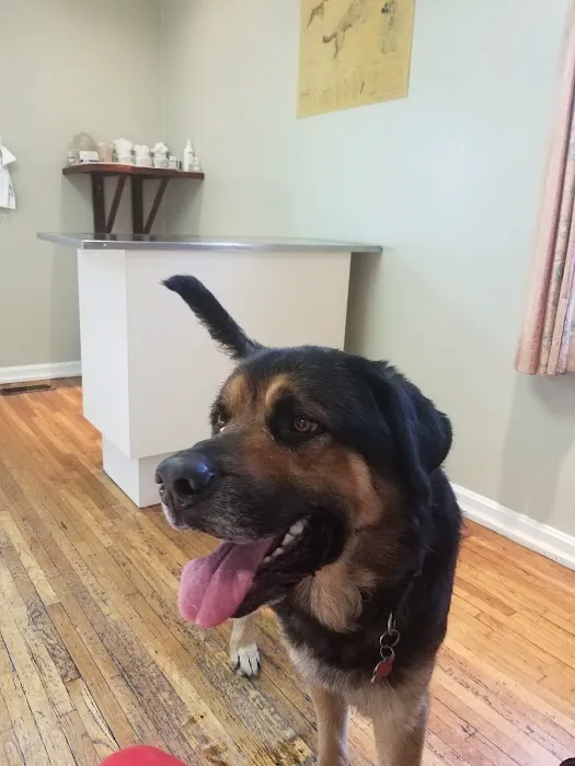 Worner Veterinary Hospital 12