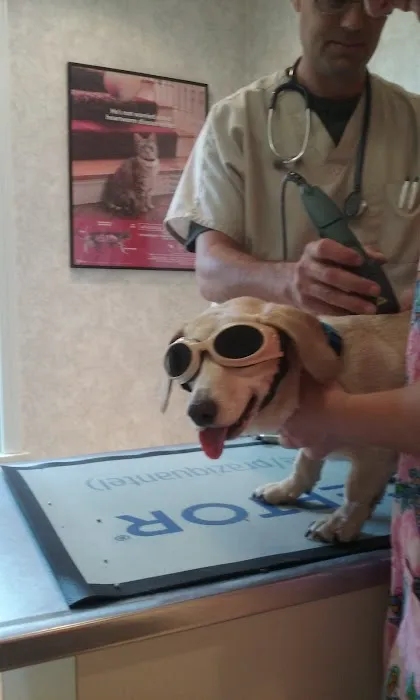 Worner Veterinary Hospital 12