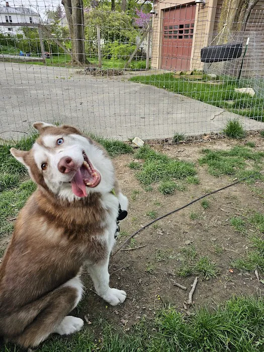 Akers Veterinary Hospital 12