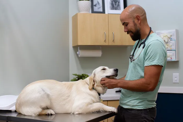 Phillips Animal Hospital 12