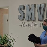Spring Meadow Veterinary Clinic ico
