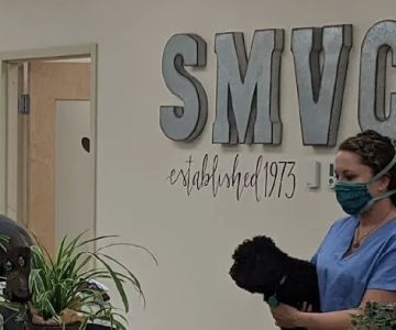 Spring Meadow Veterinary Clinic