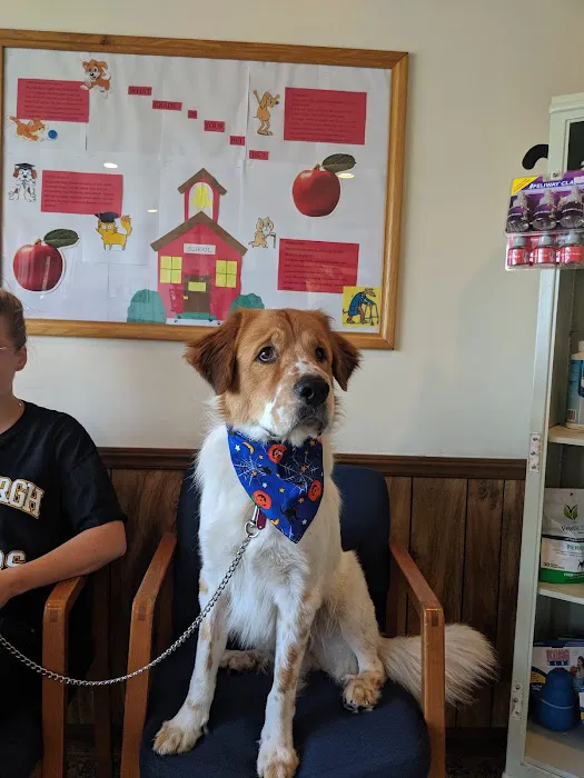 Spring Meadow Veterinary Clinic 10