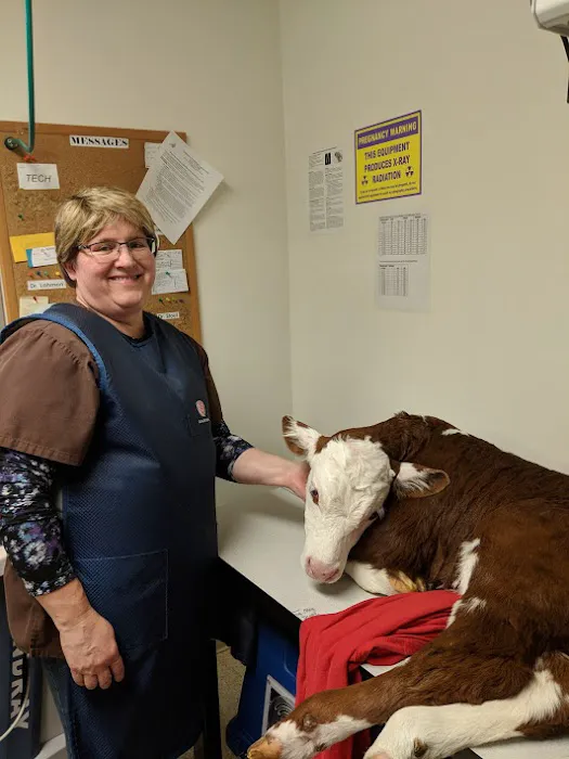 Spring Meadow Veterinary Clinic 5