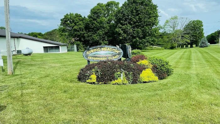 Spring Meadow Veterinary Clinic 8