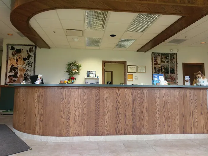 Daisy Hill Animal Hospital 4