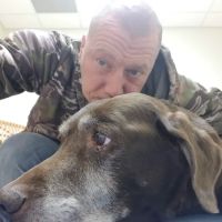 Daisy Hill Animal Hospital ico