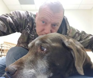 Daisy Hill Animal Hospital