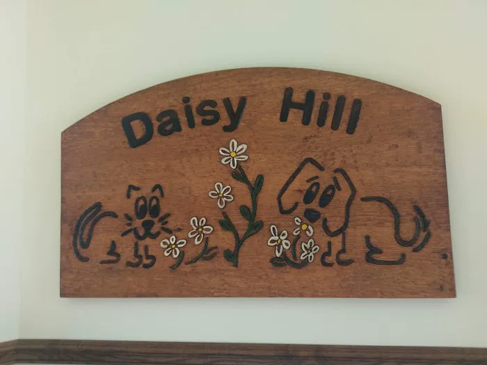 Daisy Hill Animal Hospital 8