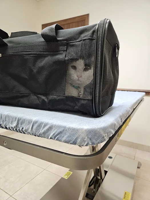 Daisy Hill Animal Hospital 7