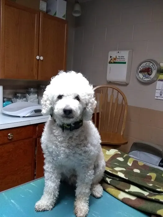 Claremont Veterinary Clinic 2