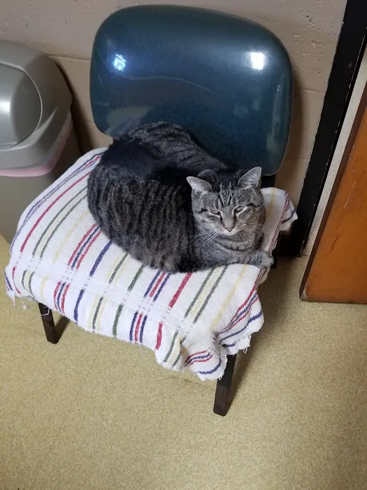 Claremont Veterinary Clinic 7