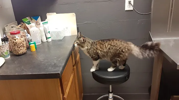 Ashland Road Animal Clinic Inc 12