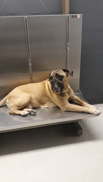 Ashland Road Animal Clinic Inc 12