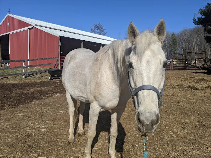 Leading Edge Veterinary Services 4