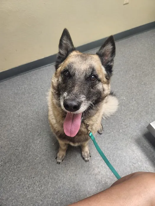 Chippewa Veterinary Clinic SC 6