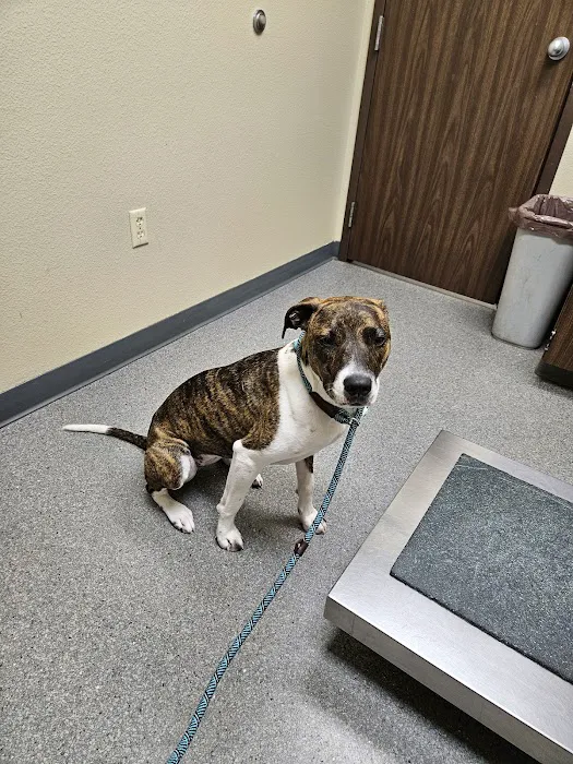 Chippewa Veterinary Clinic SC 4