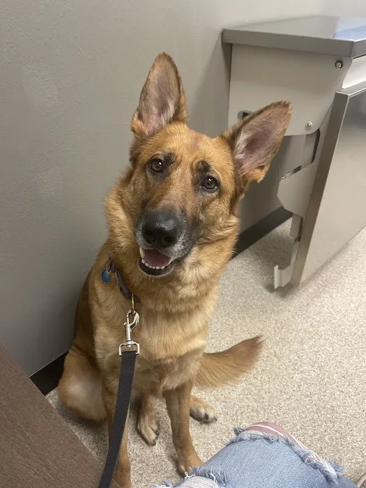 Riverview Animal Hospital 12