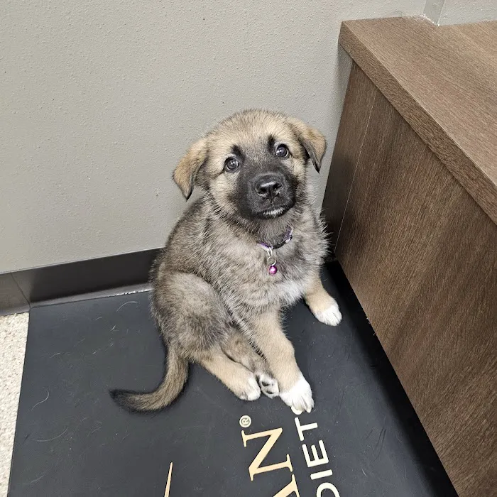 Riverview Animal Hospital 12