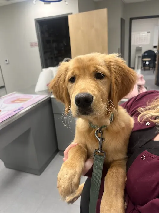 Lake Wissota Animal Hospital 12
