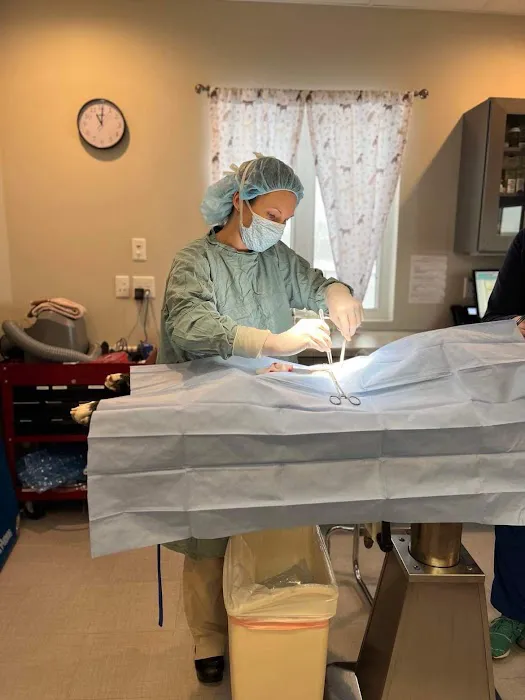 Lake Wissota Animal Hospital 12