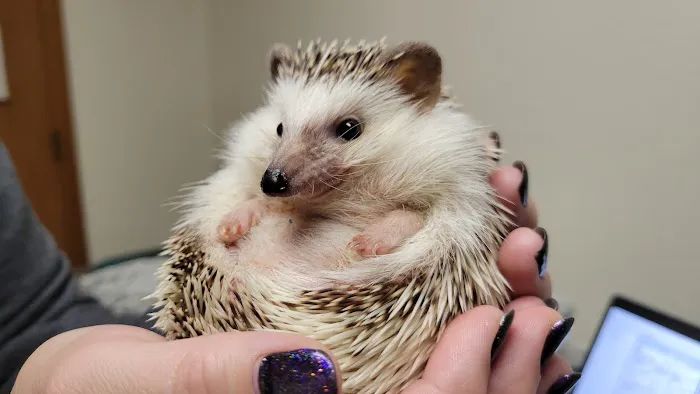 Kindness Animal Hospital 12