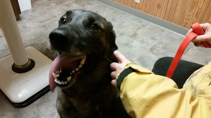 Kindness Animal Hospital 12