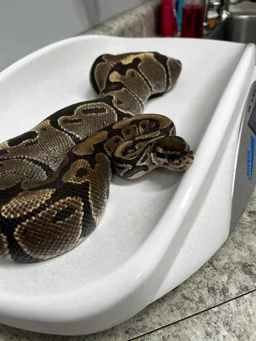 Northside Pet Hospital 12