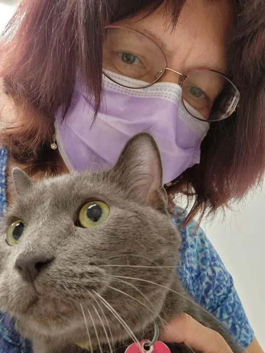 Northside Pet Hospital 12
