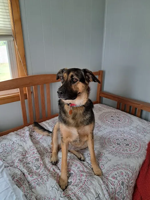 Grantsburg Animal Hospital 12