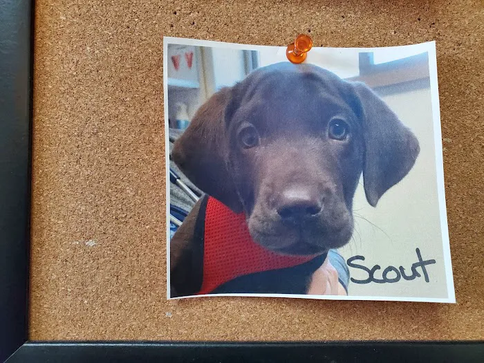 Clearwater Animal Hospital 12
