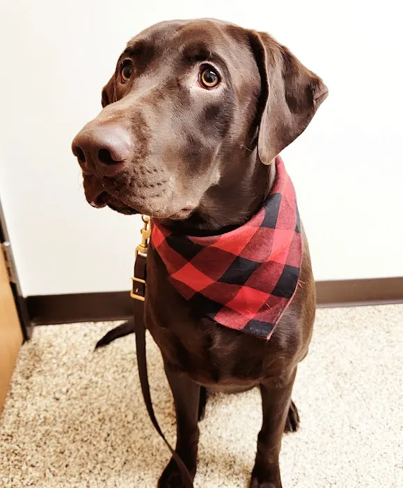 Clearwater Animal Hospital 12