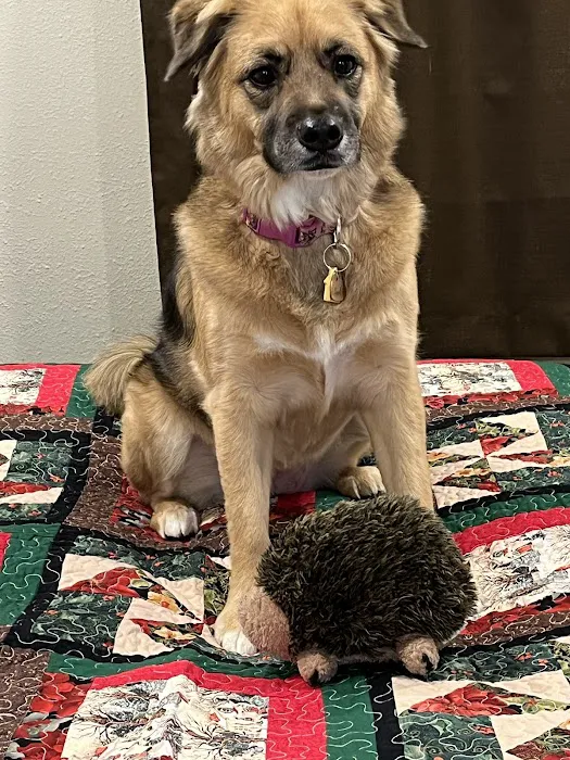 Clearwater Animal Hospital 12