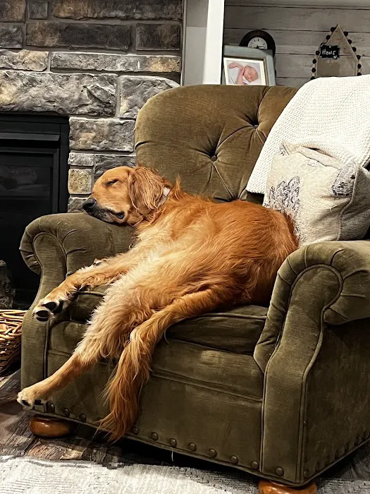 Annandale Veterinary Clinic 12