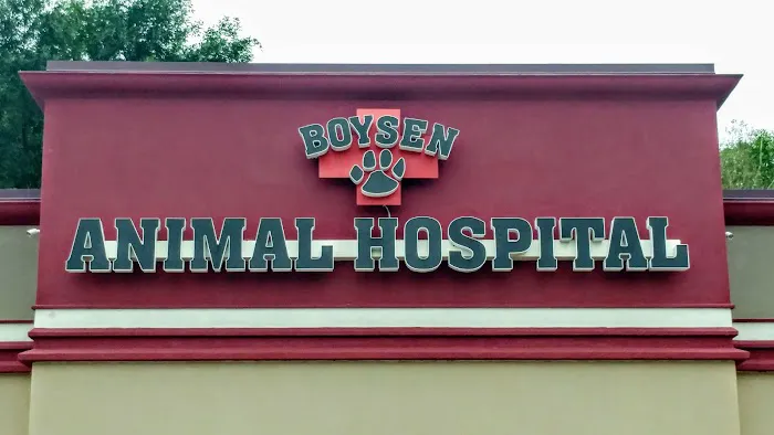 Boysen Animal Hospital PA 2
