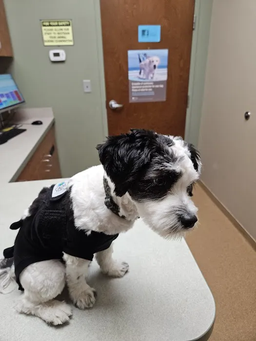 St Joseph Veterinary Clinic 9