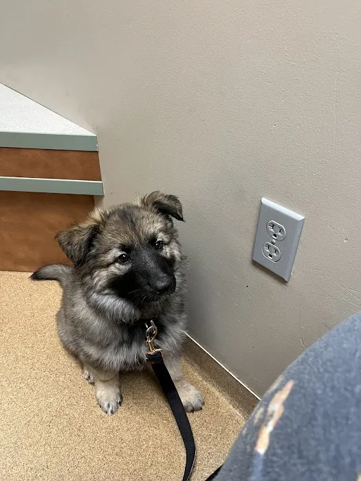 St Joseph Veterinary Clinic 10